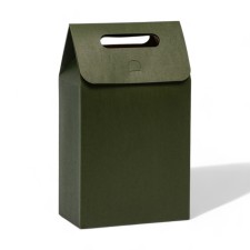 Box package with a handle, green, 27 x 16 x 9 cm