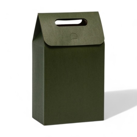 Box package with a handle, green, 27 x 16 x 9 cm