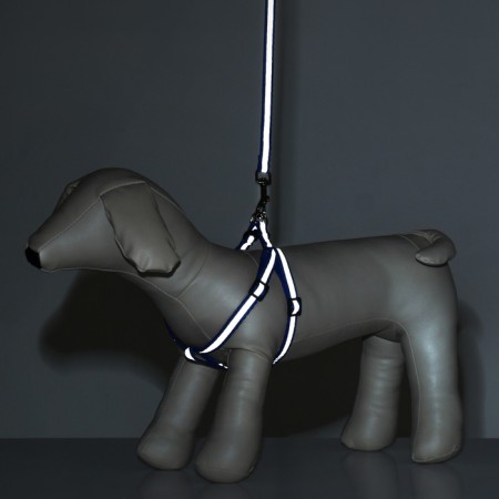 Sports set a reflective, leash 120 x 1 cm, fire 22-39 cm, mix of flowers-9