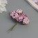 Decor for creativity "peonies" white-violet (1 set = 1 bouquet) in the bouquet 6 pcs 2.5x10.5 cm