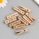 Decor for creativity Tree "clothespin - real lion" set 10 pcs