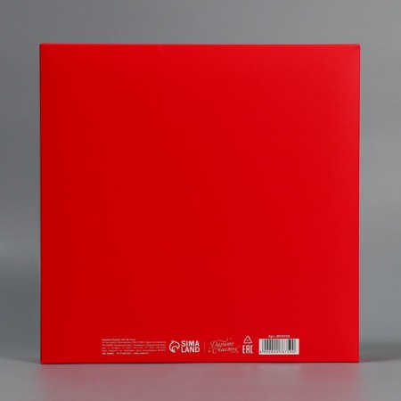 Box the national team "New Year's city", 26 x 26 x 8 cm, New Year-4