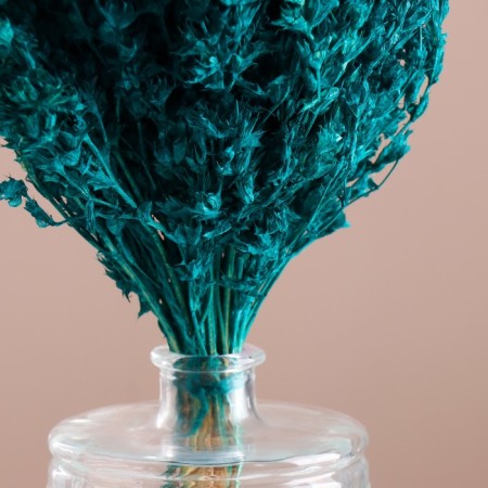 Set of dried flowers "chandra", banch length 40 (+/- 6 cm), emerald-1