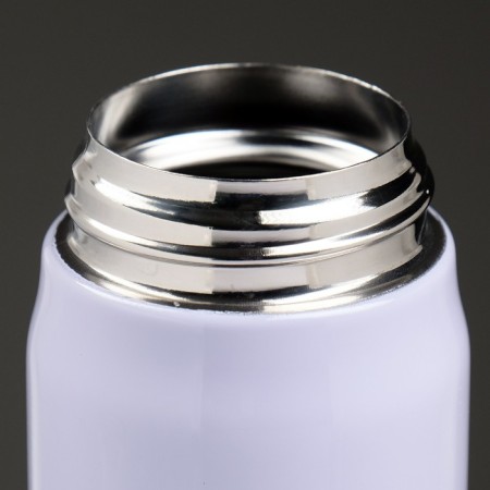 Thermos, 400 ml, top "Master K. Berries", 6.5 x 22.5 cm, mix-2