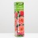 Cherry Brandy Rosa seedling, spring 2024, 1 pc.