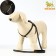 The reflective “bones” set, a collar of 120 x 1 cm, Osh 22-34 cm, fire 22-34 cm, black