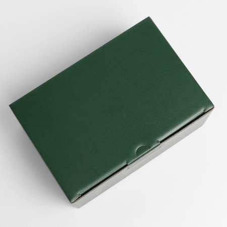 Gift folding box, packaging, "green", 22 x 15 x 10 cm-2