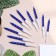 Candles in the cake "Spiral", 10 pcs, medium, 5 cm, blue metallic