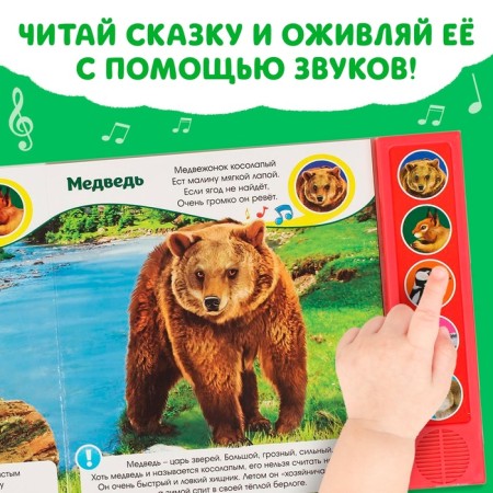 Музыкальная книга «Звуки леса», 10 стр.-3