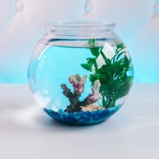 Decorative Coral 