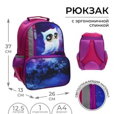 Рюкзак школьный, 37 х 26 х 13 см, эргономичная спинка, Calligrata ОРТ "Совушка"