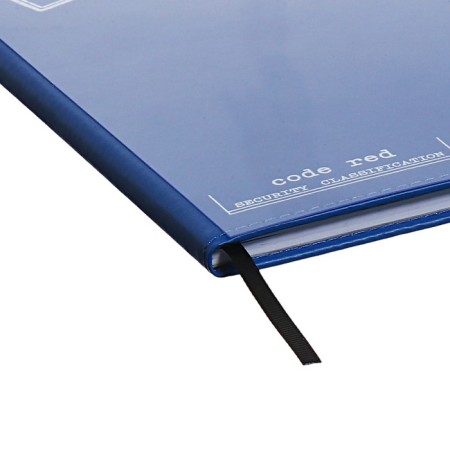 School diary for grades 1-11 Prividies, hard cover, artificial leather, foil embossing, tin-rush, liesse, 48 sheets, universal cheat sheet, block 80g/m2-2