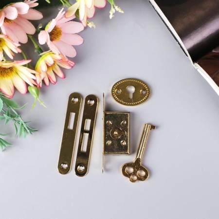 Castle for a casket "with a key" 5 items in a set of 1x5.5 cm S-303