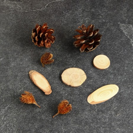 A set of natural decor "Forest and spikelet", 11 objects, mix