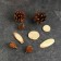 A set of natural decor "Forest and spikelet", 11 objects, mix