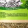 Thyme, herbal collection, strengthening of immunity and cough relief, 50 g.
