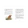 Hedgehog, or as we made friends. Castillo Loren