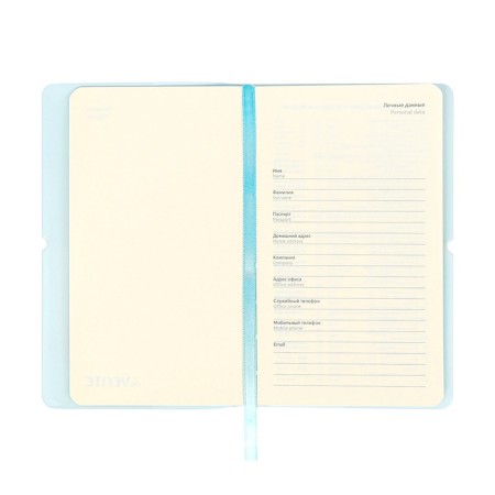 PROVINARY NOT LEARNED, 80 sheets, 100x170 mm, Devente.Jane, soft cover of PVC, elastic band, perforation, liesse, block 70%, blue-8