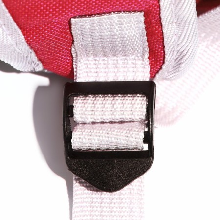 The backpack for carrying animals is transparent, 31 x 28 x 42 cm, red-10