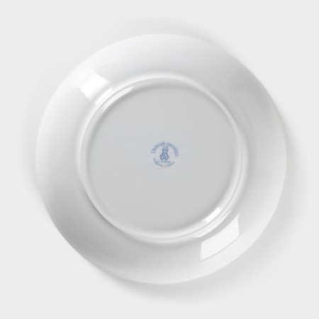 Porcelain plate "Fiery snake", 700 ml, D = 20.5 cm-3