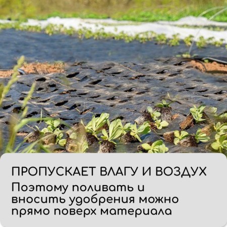 AGROTKAN CARE, with markings, 5 × 1.6 m, density 100 g/m², polypropylene, Greengo, economy 50%-4