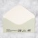 Money envelope "for healthy lifestyle and core", cat, 16.5 × 8 cm