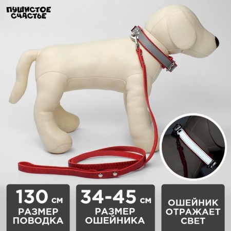 Set of collar (34-45x2 cm) reflective and leash (130x1 cm), red