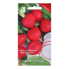 Seeds Radis 