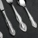 Set of cutlery "Slavyanka", 24 items, decorative box, silver color