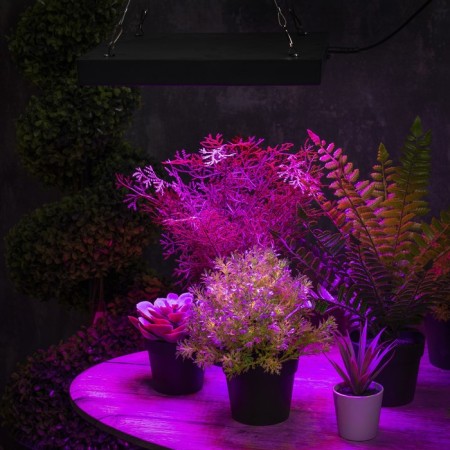 LED phyto -light, 80 watts, 280 mm, IP20, 265 V, full spectral