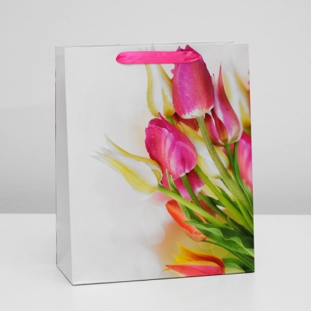 Laminated package, 26 x 32 x 12 cm