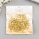 Screw-eye screw for fastening paintings, gold photographs (set 100 pcs) 1.8x0.9 cm