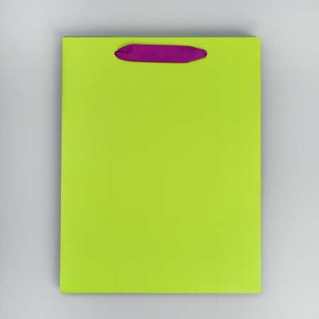 Gift package two-tone, packaging, “light green”, MS 18 x 23 x 10 cm-6