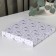 Plate porcelain dessert shade "Eucalypt", d = 20.5 cm