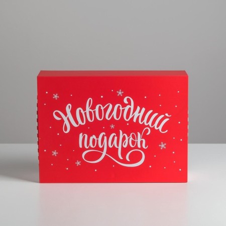 Box - Kniga "New Year's Gift", 27 x 19.5 x 8 cm, New Year-3