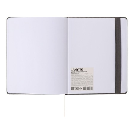 Universal diary for grades 1-11, hard cover, artificial leather, elastic band, lies, tinted block, 48 sheets-19