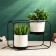Set of pots on a stand 2pcs, 27x12x19cm