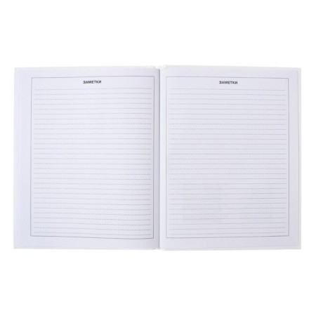 Diary for grades 5-11, hard cover, "cute and funny", glossy lamination, block 60g/m2-12