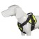 Nylon anatomical holling, Osh 60-70 cm, og 70-90 cm, lemon