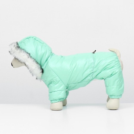 Kombinson "Gloss", size L (DS 34, OG 47, Osh 34 cm, up to 10 kg), mint-4