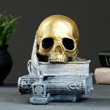 Figure "Skull with a book" bronze with silver, 19cm-3