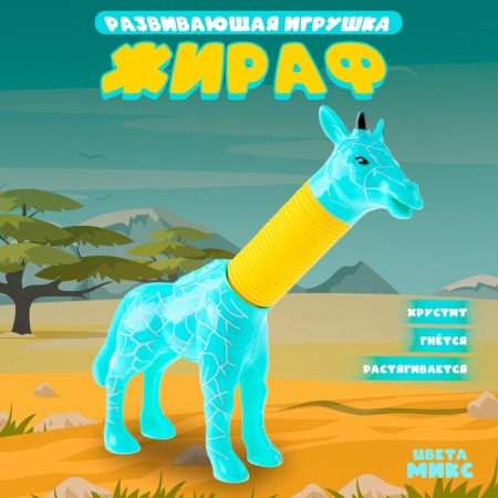 Developing toy "Giraffe", Mix colors