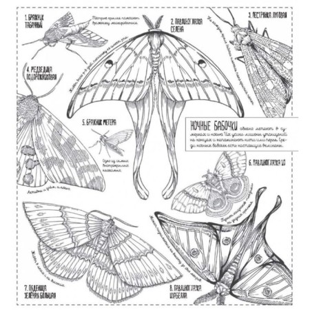 The creatures are large and small. 35 posters for coloring-4