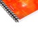 Notebook on spirals A6, 80 sheets, cage, Erichkrause "Spiralblock", cardboard cover, firm substrate, offset unit, 100%white, mix