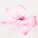 Decor for creativity "Butterfly", two -layer, set of 12 pcs., Size 1 pc. - 5 × 4 cm, pink color