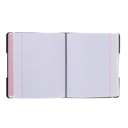 Notebooks A5+, 2 x 48 sheets in the Erichkrause "Folderbook", in a plastic folder, elastic bands, an offset unit, white 100%, black-4