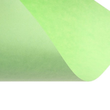Color paper A4 250l Calligrata Pastel + intensive mix 10 -cv 80g/m2, barn-8