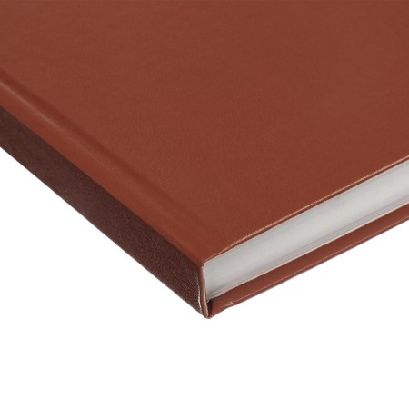 Dated diary of 2025, A5, 168 sheets, boumvinyl, brown-3