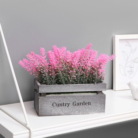 Bonsai "Lavender in the box" 8x16.5x15 cm, mix-4