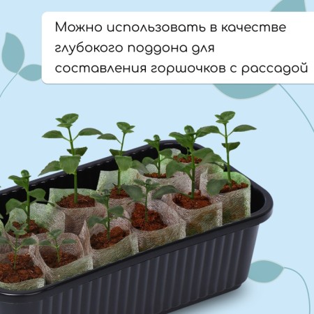 Box for seedlings, 28.5 × 15.5 × 8.5 cm, 2.5 l, black, Greengo-3